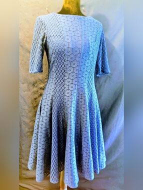 Women’s Lace Fit-and-Flare Dress in Light Blue Sz 6